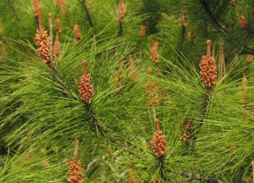 1119是什么意思？