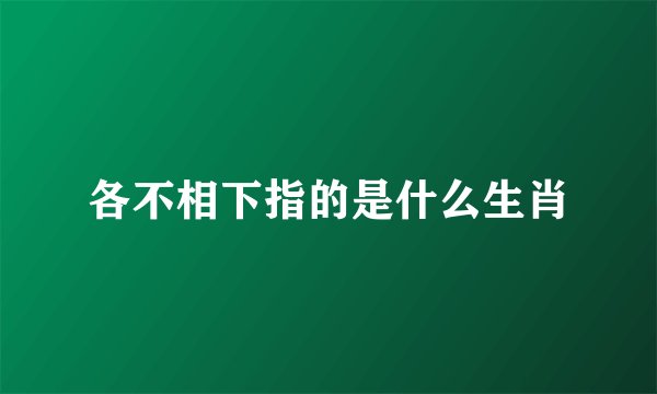 各不相下指的是什么生肖