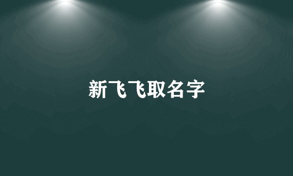 新飞飞取名字