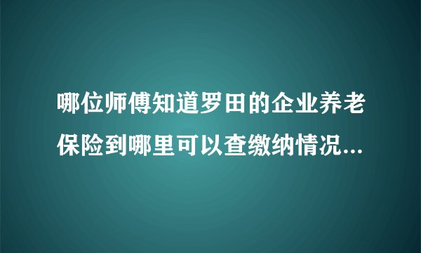 哪位师傅知道罗田的企业养老保险到哪里可以查缴纳情况，有专门的网站吗？
