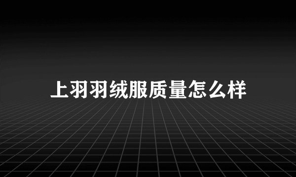上羽羽绒服质量怎么样