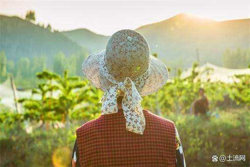 新农合什么时候交费?