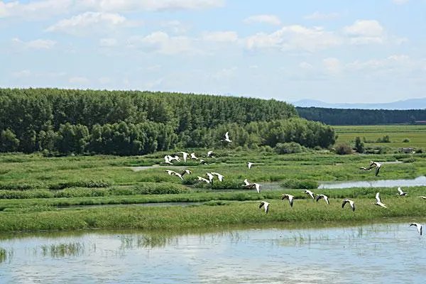 栖息之地是什么意思