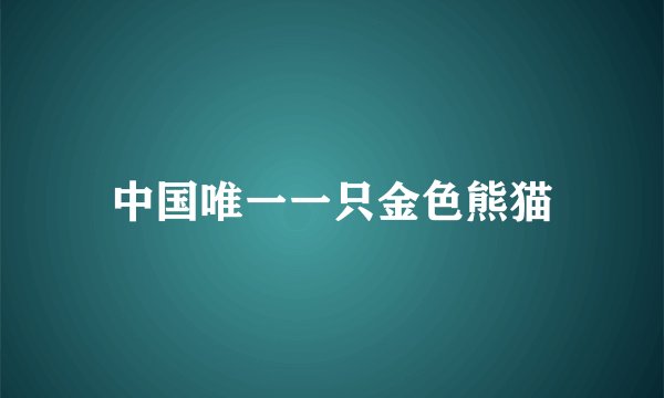 中国唯一一只金色熊猫