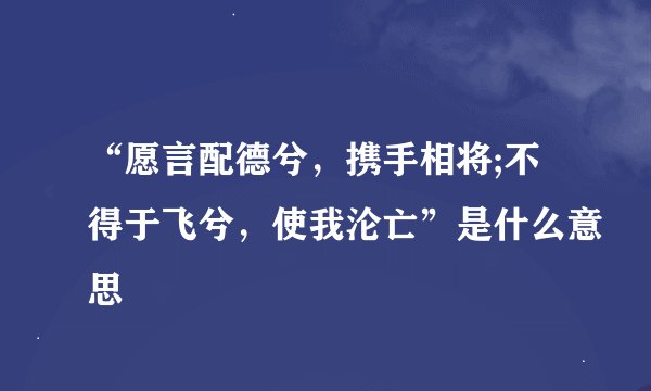 “愿言配德兮，携手相将;不得于飞兮，使我沦亡”是什么意思