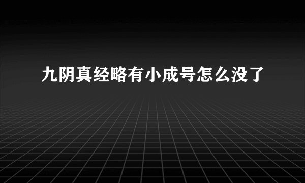 九阴真经略有小成号怎么没了