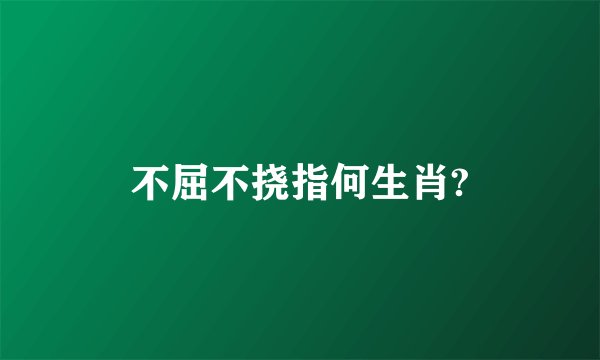 不屈不挠指何生肖?