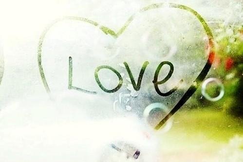 智者不入爱河 愚者自甘堕落 遇你难做智者 甘愿沦为愚者 意思求细答