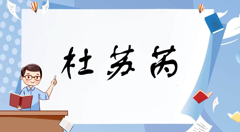 杜苏芮字的含义是什么