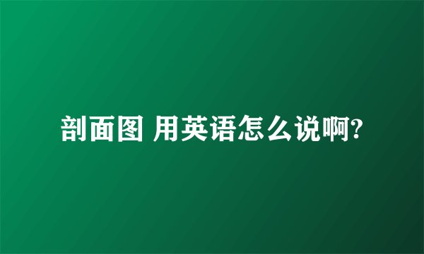 剖面图 用英语怎么说啊?