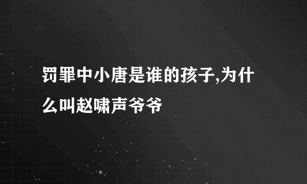 罚罪中小唐是谁的孩子,为什么叫赵啸声爷爷