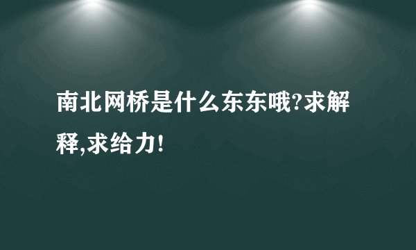 南北网桥是什么东东哦?求解释,求给力!