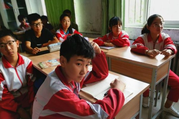 静观其变打一生肖动物