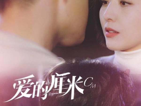 爱的厘米剧情简介和分集介绍