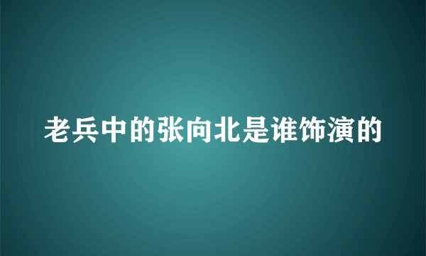 老兵中的张向北是谁饰演的