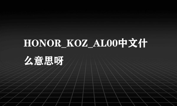 HONOR_KOZ_AL00中文什么意思呀