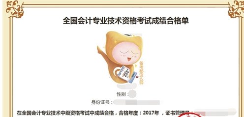 怎么查询会计初级职称成绩