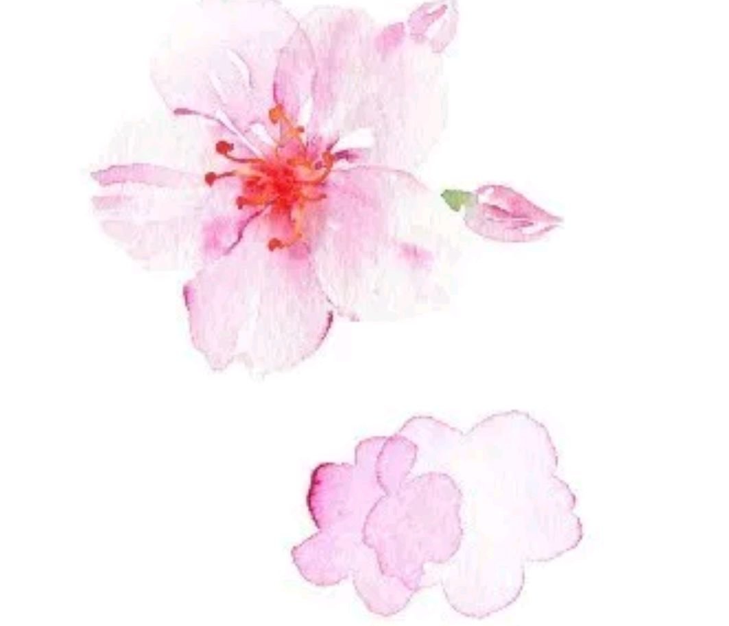 “桃之夭夭,灼灼其华”是什么意思?