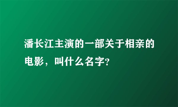 潘长江主演的一部关于相亲的电影，叫什么名字？