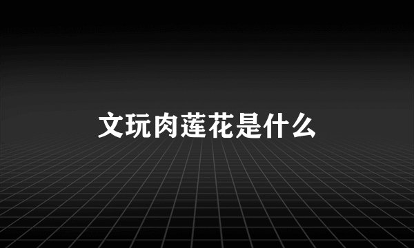 文玩肉莲花是什么