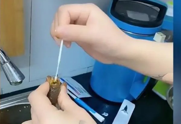 上海一女子给小龙虾做抗原检测，她为何会有如此举动？