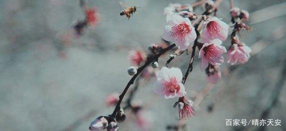 临时出差我把女儿交给前夫照顾,谁知没几天他打电话说女儿病重,怎么办?