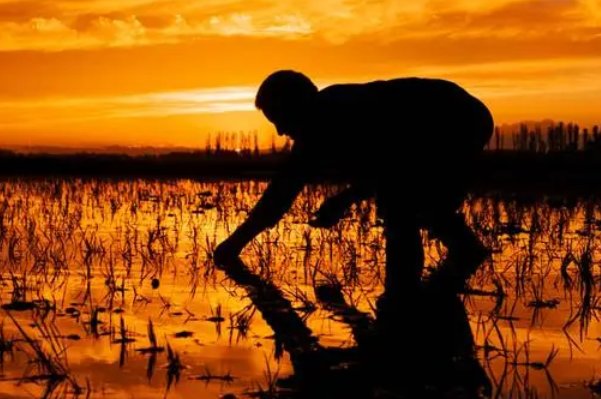 蚂蚁庄园古代褒义词