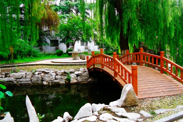 高考次位怎么算