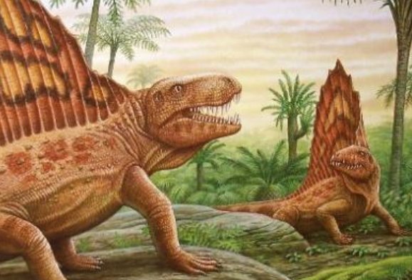 恐龙都有什么种类？