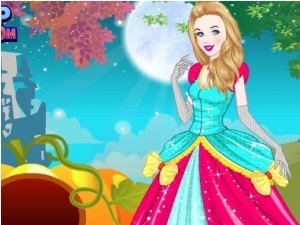 痴恋灰姑娘的介绍