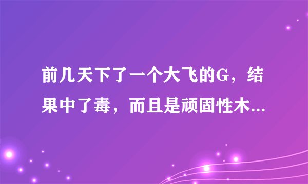 前几天下了一个大飞的G，结果中了毒，而且是顽固性木马，一些杀毒软件都打不开 ,安装一些其他杀毒软件