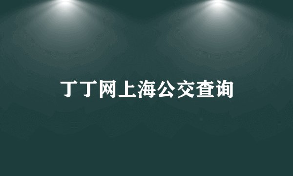 丁丁网上海公交查询
