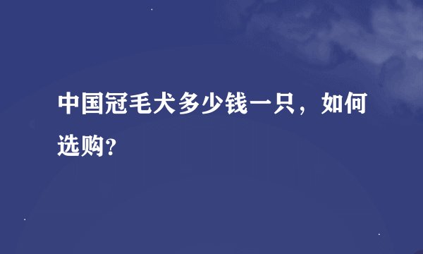 中国冠毛犬多少钱一只，如何选购？