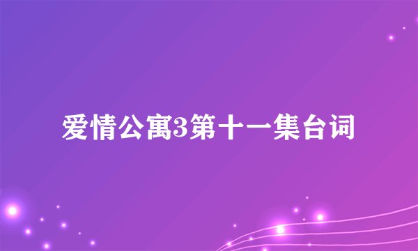 爱情公寓3第十一集台词