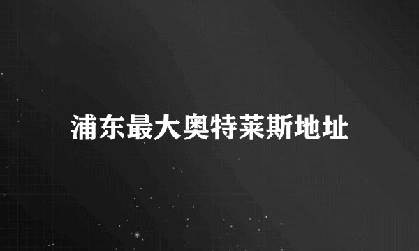 浦东最大奥特莱斯地址