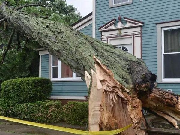 八级风有多大威力