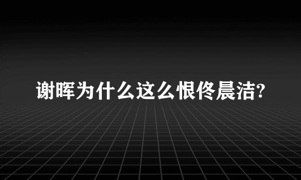 谢晖为什么这么恨佟晨洁?