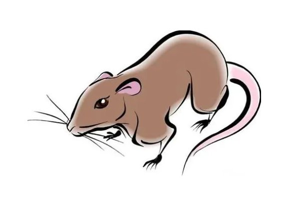 笑谈人生打一动物生肖