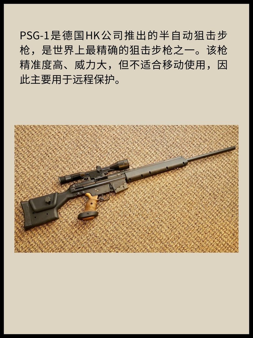 德国PSG-1狙击步枪