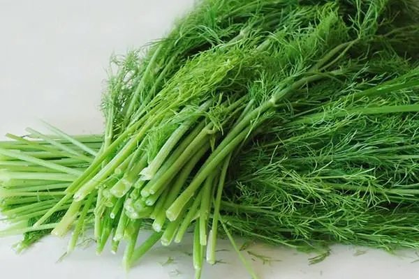 生菜和茴香含盐量相比，到底哪个更高？