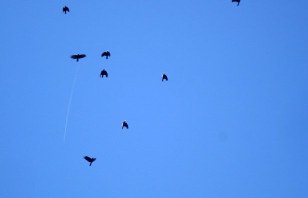 《天上飞》原唱是谁？,