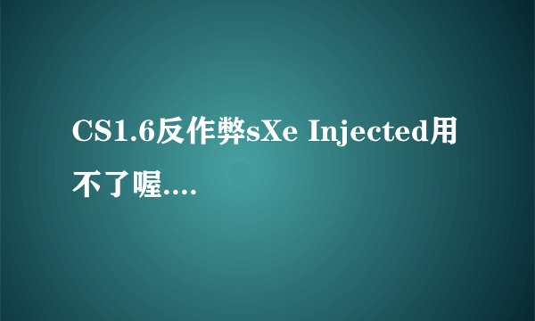 CS1.6反作弊sXe Injected用不了喔..怎么半