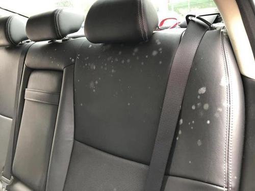 江苏赣州一女子隔离15天后发现车上发霉长毛，开发霉的车会有何危害？