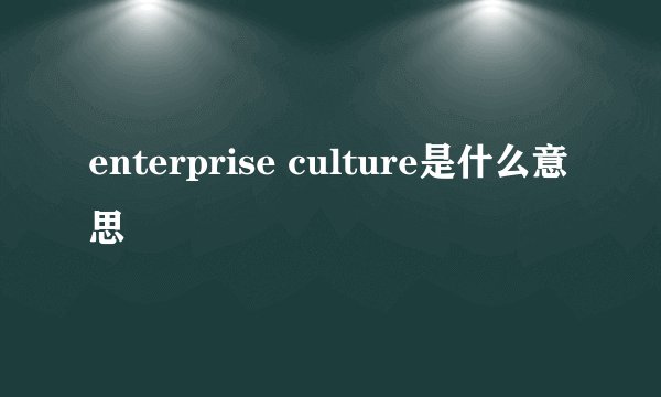 enterprise culture是什么意思