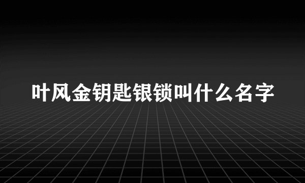 叶风金钥匙银锁叫什么名字