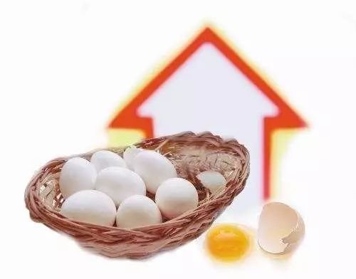 韩国鸡蛋价格暴涨四成，追加进口1500万枚鸡蛋，导致暴涨的原因是什么？