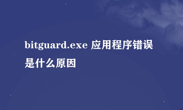 bitguard.exe 应用程序错误是什么原因