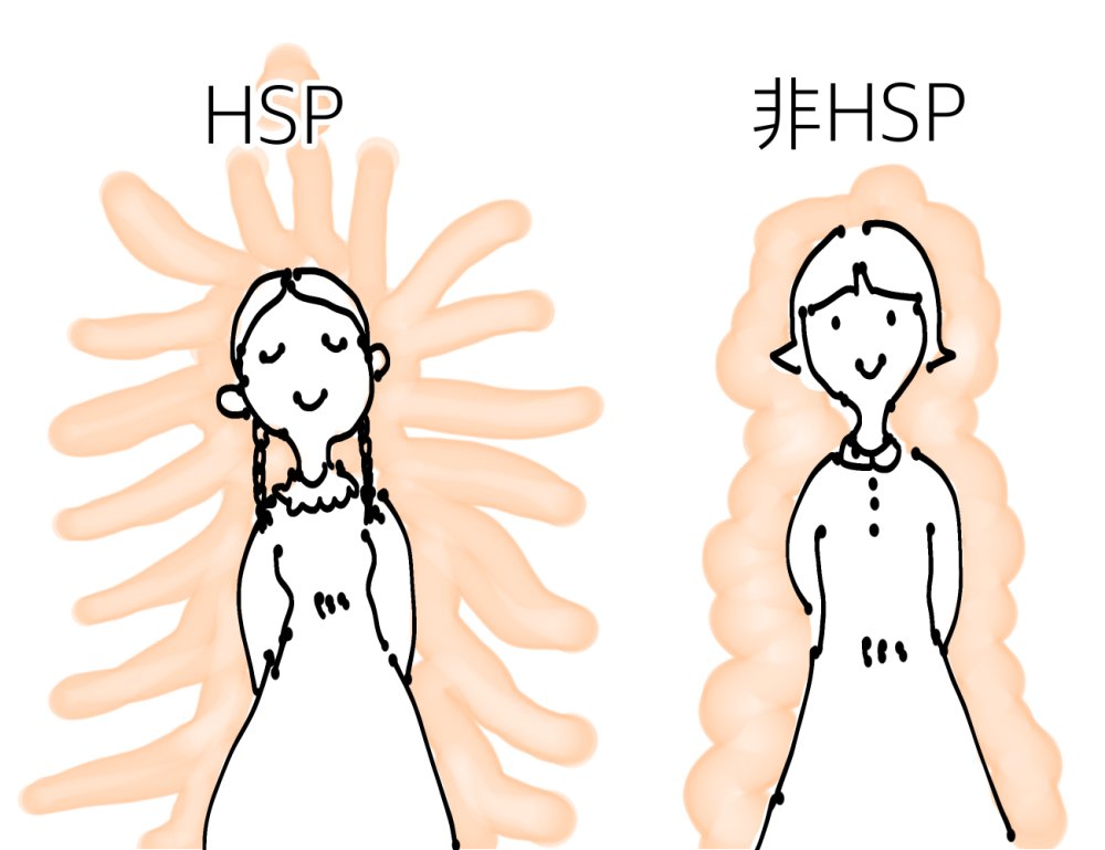 hsp是什么意思