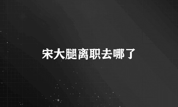 宋大腿离职去哪了