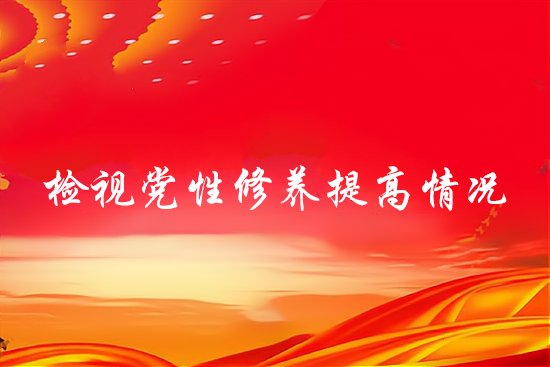 检视党性修养提高情况